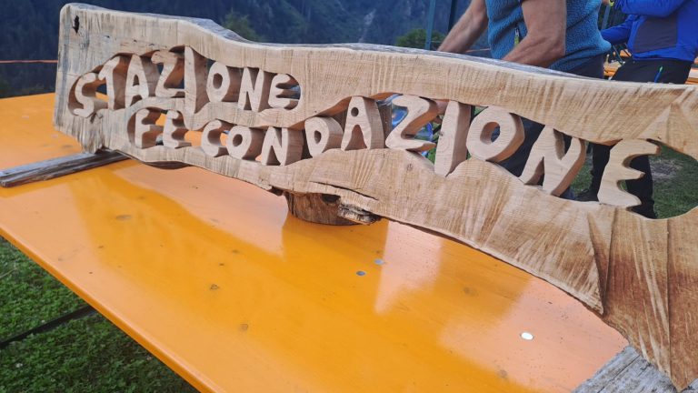 L’insegna in legno intagliato «Stazione di Fecondazione» appoggiata su un tavolo