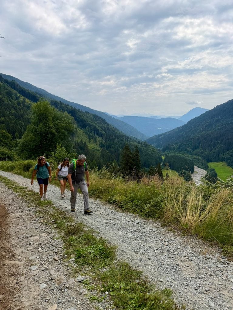 Tre partecipanti salgono lungo la strada forestale verso la malga
