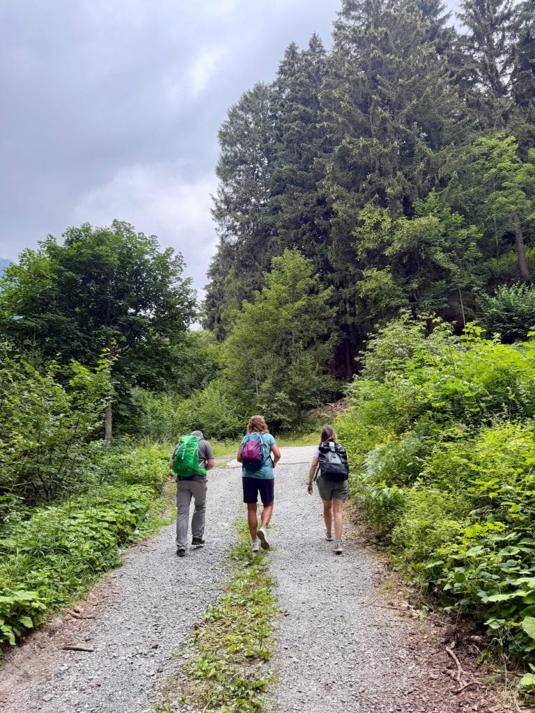 Tre partecipanti camminano nel bosco lungo la strada per la malga
