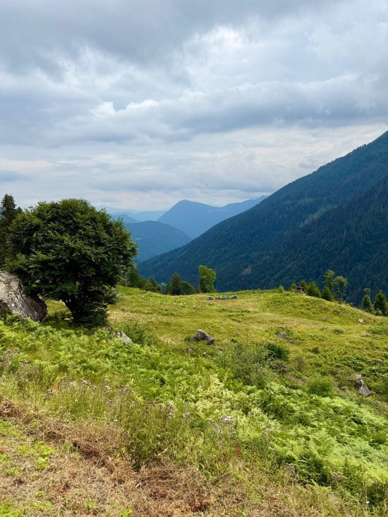 Il pascolo con l’apiario e la valle che scende verso il fondovalle